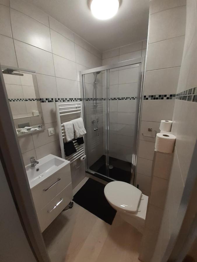 Les Appartements Du Saint Hubert Arcis-sur-Aube Εξωτερικό φωτογραφία