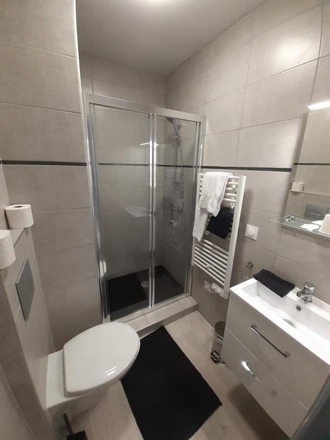 Les Appartements Du Saint Hubert Arcis-sur-Aube Εξωτερικό φωτογραφία