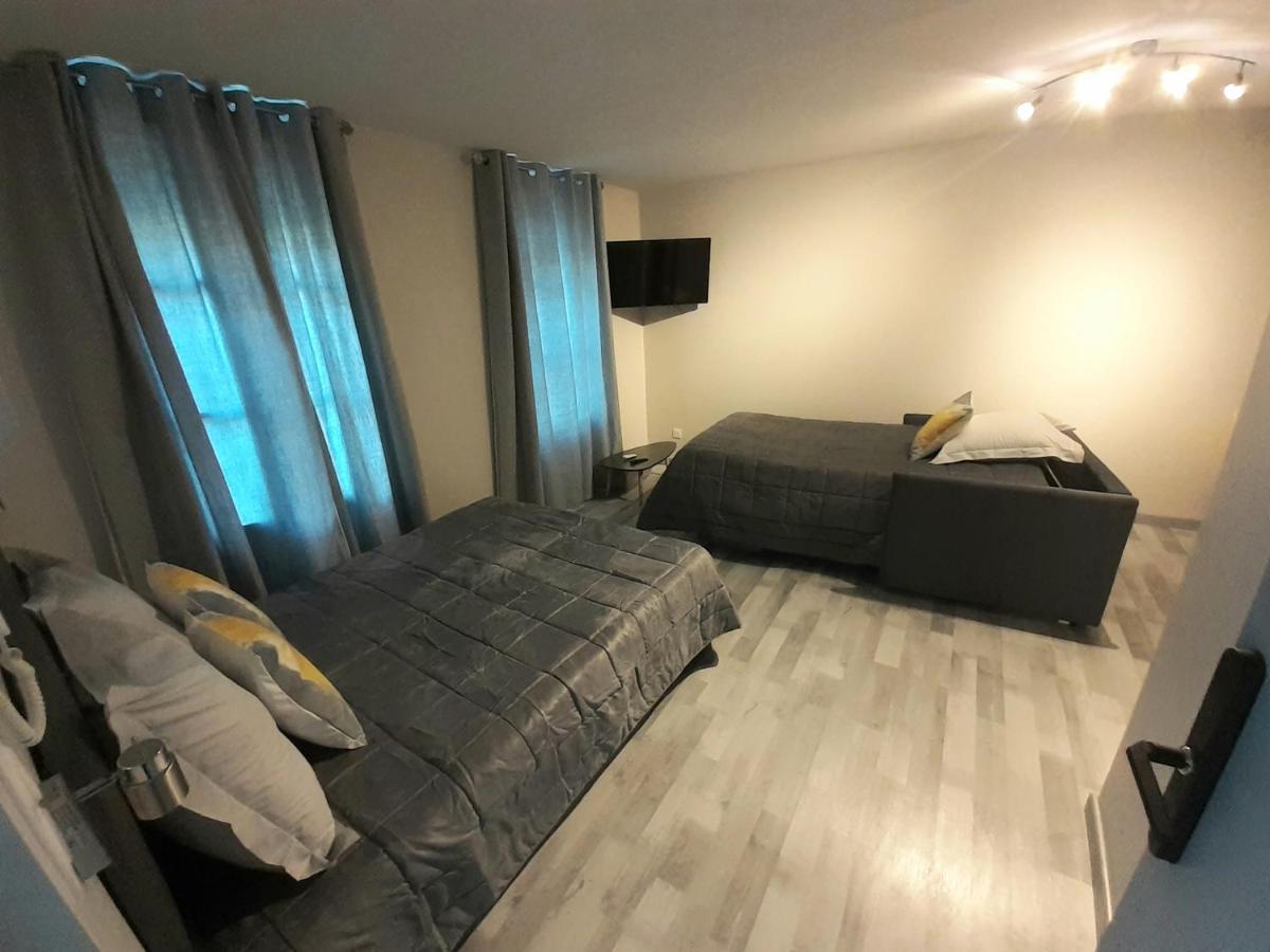 Les Appartements Du Saint Hubert Arcis-sur-Aube Εξωτερικό φωτογραφία